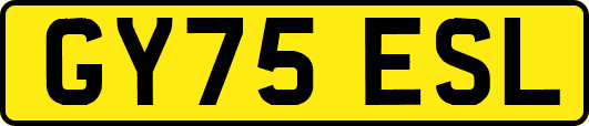 GY75ESL