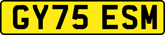 GY75ESM