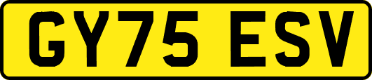 GY75ESV