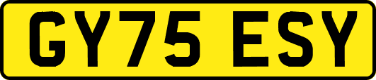 GY75ESY