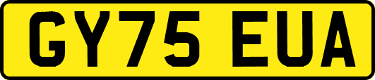 GY75EUA