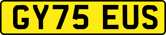 GY75EUS