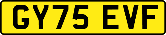 GY75EVF