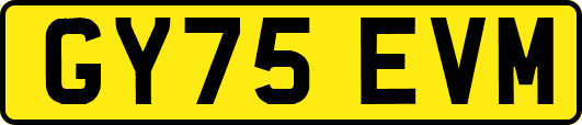 GY75EVM