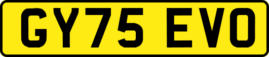 GY75EVO