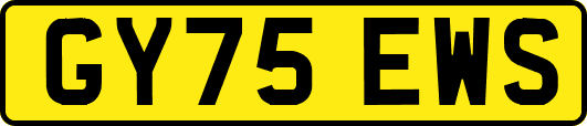 GY75EWS