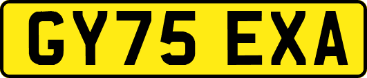 GY75EXA