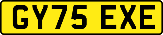 GY75EXE