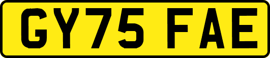 GY75FAE