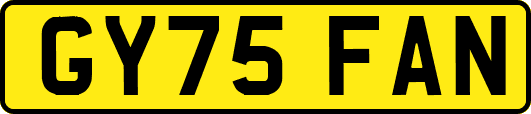 GY75FAN