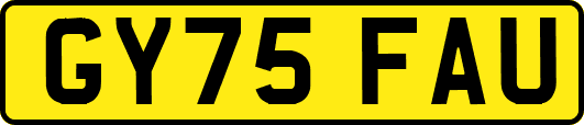 GY75FAU