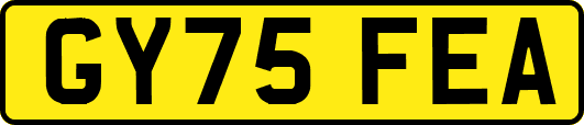 GY75FEA