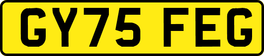 GY75FEG