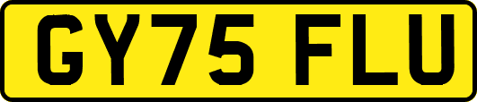 GY75FLU