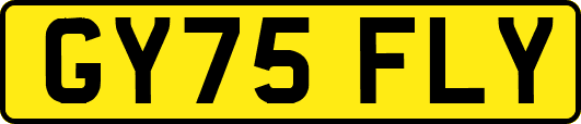 GY75FLY