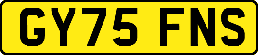 GY75FNS