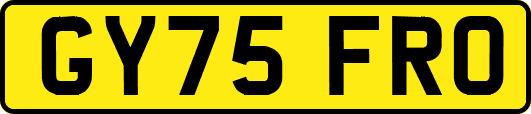 GY75FRO