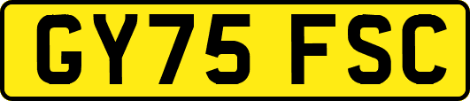 GY75FSC