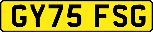 GY75FSG