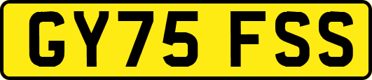 GY75FSS
