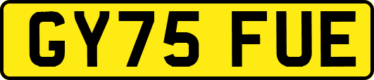 GY75FUE