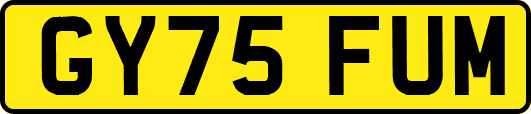 GY75FUM