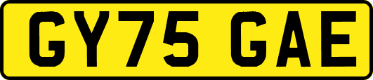 GY75GAE