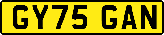 GY75GAN