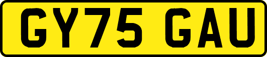 GY75GAU
