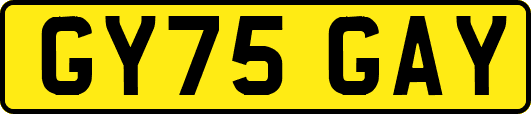 GY75GAY