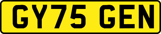GY75GEN