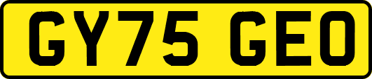 GY75GEO