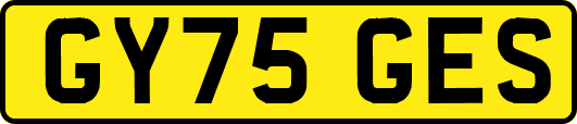 GY75GES