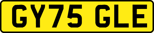 GY75GLE