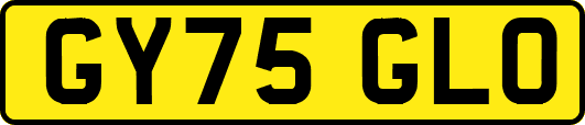 GY75GLO