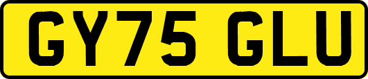 GY75GLU