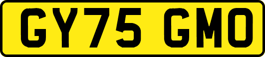 GY75GMO