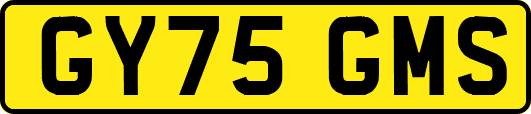 GY75GMS