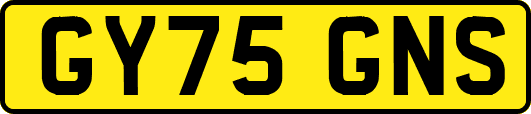 GY75GNS