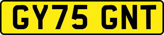GY75GNT