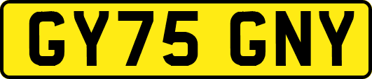 GY75GNY