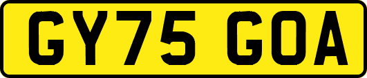 GY75GOA