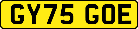 GY75GOE