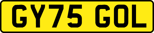 GY75GOL