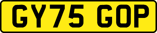 GY75GOP