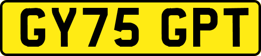 GY75GPT