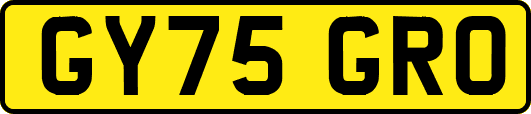 GY75GRO