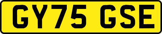 GY75GSE