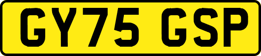GY75GSP