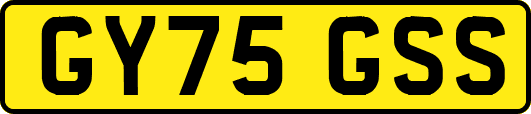 GY75GSS